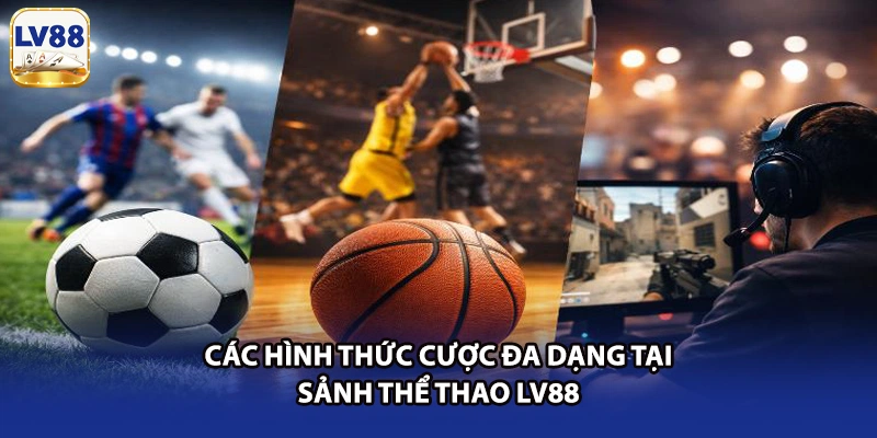 Các hình thức cược đa dạng tại sảnh thể thao LV88