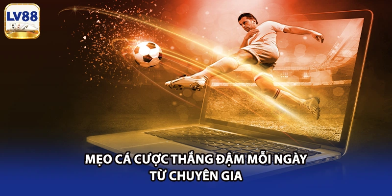 Mẹo cá cược thắng đậm mỗi ngày từ chuyên gia